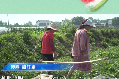 当阳城市品牌推广周各活动正有序筹备中