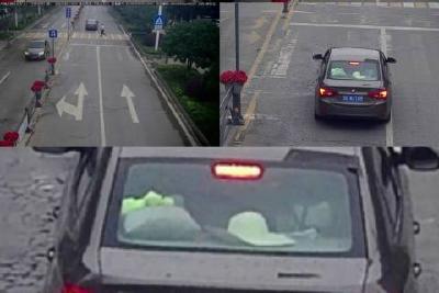 最新抓拍！看看有你吗？