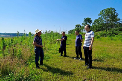 定期督导补短板 护航和美乡村建设