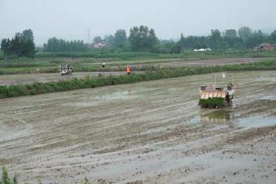 【奋进新征程 建功新时代】智慧农机助力水稻种植