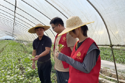 玉泉街道金沙村：抗旱解民忧，党员齐上阵
