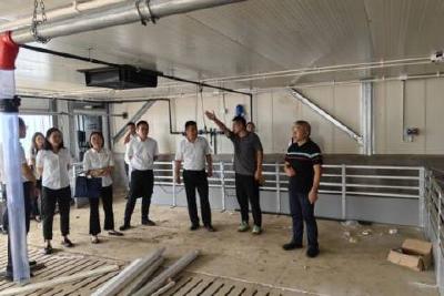 【清廉当阳】开展廉洁警示教育 筑牢廉政思想防线