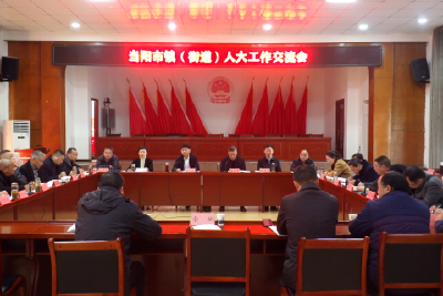 市人大常委会召开镇街道人大工作交流会