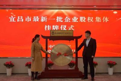 鸣锣开市！当阳新增4家武交所挂牌企业