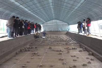 当阳九里岗遗址考古调查发掘发现一万年前石器加工场