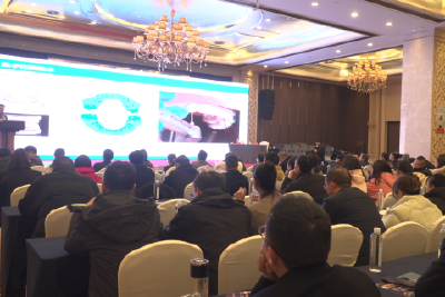 湖北省口腔医学会民营口腔医疗分会2023学术年会在我市举行