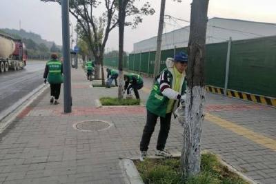 当阳20余万株树木换装越冬