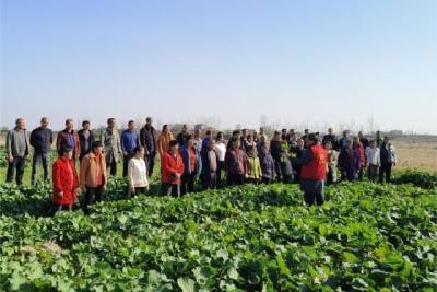 淯溪镇新时代文明实践所线上线下开展“冬季粮油作物田间管理”科普宣传活动