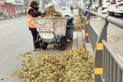 市环卫服务中心全力清扫落叶 确保城区干净整洁