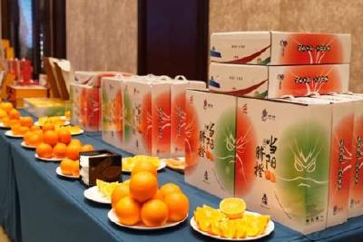 当阳柑橘嘉兴市场推介会现场签约1400万元