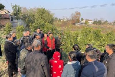 当阳王店镇新时代文明实践站线上线下开展各类文明实践活动