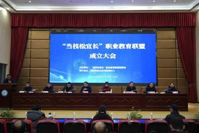 喜报！“当枝松宜长”职业教育联盟成立