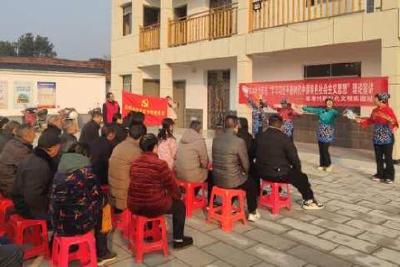 乡村振兴强党性 规范发展出成效