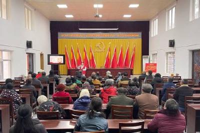 坝陵街道开展消防安全知识普及志愿服务活动