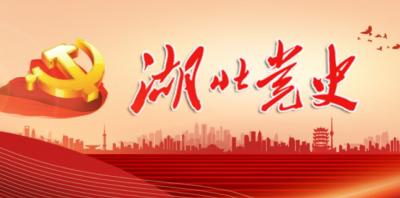 当阳市红色档案图片展走进新年“两会”会场 