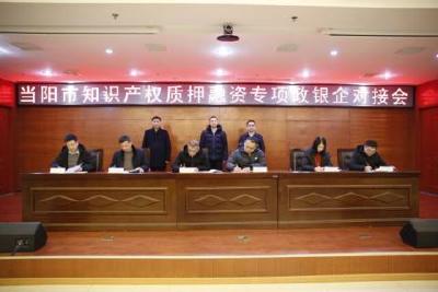 当阳市举办2024年首场政银企对接活动