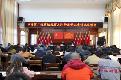 当阳市委第二巡察组向玉阳街道反馈巡察情况