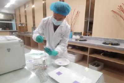 企业需求吹哨 “双千”专班报到