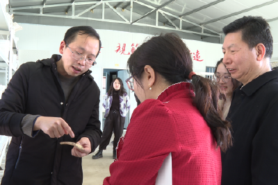 湖北省委讲师团考察我市九里岗遗址考古工作情况