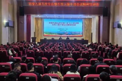 市委九届五次全会暨全市三级干部会精神宣讲镇街道专场开讲