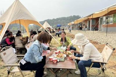 百步梯露营，乐享好春光