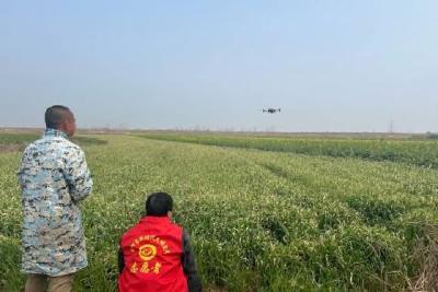 河溶镇：志愿红为春耕生产助力添彩