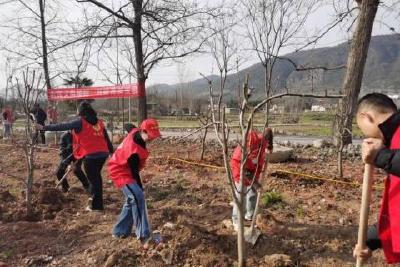 【文明单位创建】全民义务植树，共建秀美玉泉