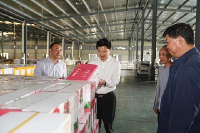 刘传钢检查安全生产、河湖长制、环保督察整改及食品安全工作