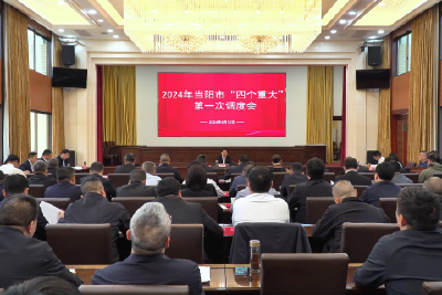 我市召开2024年“四个重大”第一次调度会