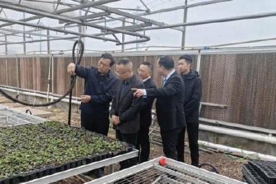 我市美丽乡村建设迎接宜昌验收