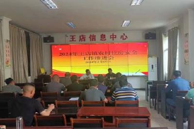 王店镇开展农村低收入群体住房安全工作推进会