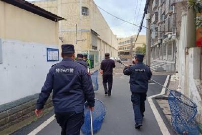 整治不文明养犬付家岗在行动