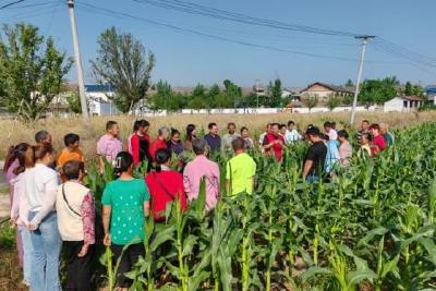 玉泉街道各新时代文明实践站开展多样文明实践活动