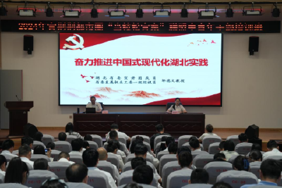 “当枝松宜东”中青干班当阳学员热议“中国式现代化湖北实践”