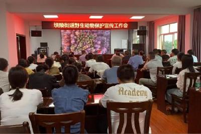 坝陵街道开展生物多样性学习交流活动