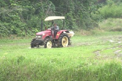 汩汩清水“润”稻田