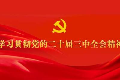 权威速览 | 党的二十届三中全会公报一图读懂