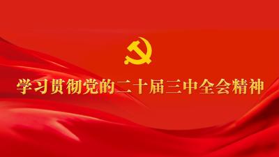 习近平：关于《中共中央关于进一步全面深化改革、推进中国式现代化的决定》的说明