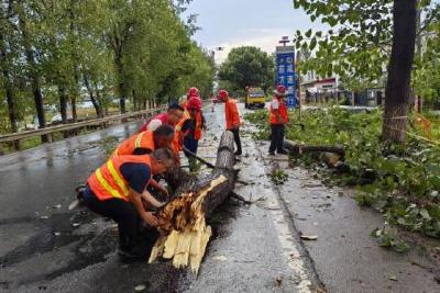 狂风骤雨袭倒路树 当阳交通排障保畅