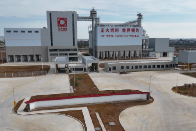 正大年产36万吨饲料加工工厂建设项目进入设备联调阶段