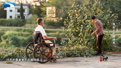 《是这个理》：指尖上的办事员