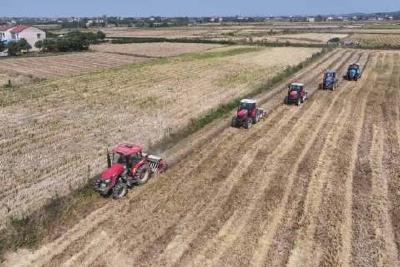 抢抓农时播种忙 油菜种出新希望