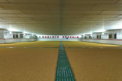 “智能收储一码通”农民卖粮更便捷