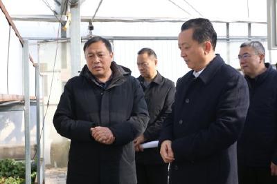 李兴兵调研鱼腥草供应链平台建设及“清洁家园”行动