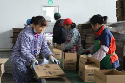 宜昌绿牌环境技术有限公司开足马力忙生产