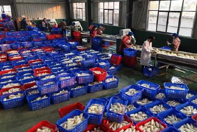 佰穗食品：探索农产品深加工 提升产品竞争力