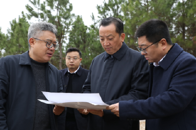 李兴兵到河溶镇调研