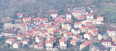 在希望的田野上 | 90后“神笔马良”绘就乡村振兴新图景