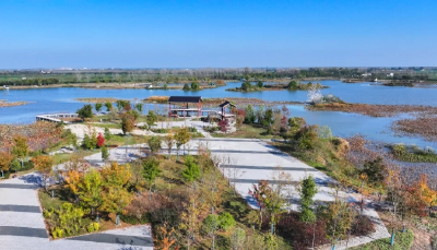 当阳新增一周末好去处！美醉了！