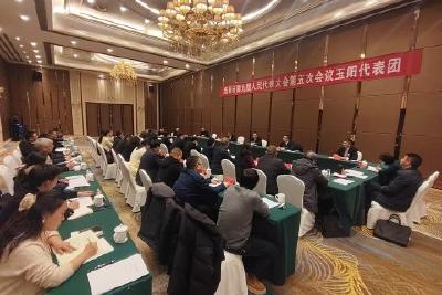 【聚焦两会】市九届人大五次会议各代表团审议《政府工作报告》及其他报告